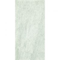 Плитка Paradyz Emilly Grys Scienna 300X600