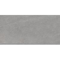 Плитка Paradyz Natural Rocks Silver RECT 1198x598