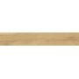 Grow Honey Sp/R 240X1510