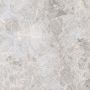 Плитка Elegant Bone 596X596