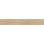 Tanzania Almond 250X1500