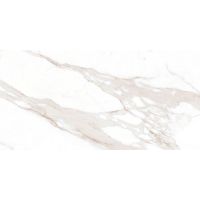 Плитка Ragno R8SF Incanto Calacatta Nobile 600x1200