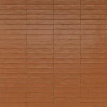 Плитка Ragno Wish Brick RCGE 300x50