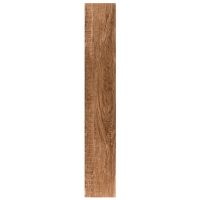 Ragusa Umber 20*120