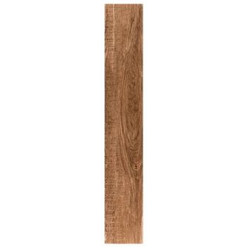 Ragusa Umber 20*120