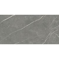Плитка Tau Elite Graphite Matt Rec 1200x600