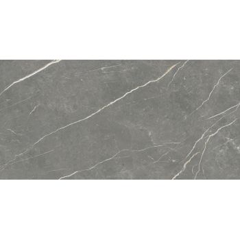 Плитка Tau Elite Graphite Matt Rec 1200x600