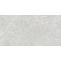 Плитка Tau Elite Silver Matt Rec 1200x600