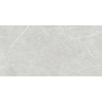 Плитка Tau Elite Silver Matt Rec 1200x600
