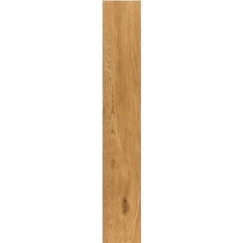 Плитка Tau Ceramica Ragusa Camel 1200x200