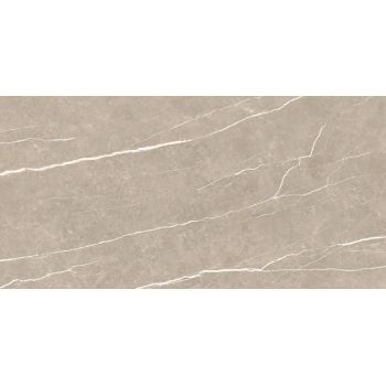 Плитка Tau Elite Greige Matt Rec 1200x600