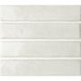 Плитка Wow Ceramic 133180 Potters Swan 250x50x8