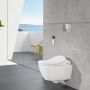 Кнопка змиву води Villeroy & Boch ViConnect E300, хром (92218061)