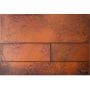 Панель змиву з двома клавішами TECEsquare II, метал, іржава сталь, Rusted steel (9240845)