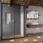 Душові двері Ravak Blix Slim X0PMG0300Z1 BLSDP2-120 Transparent