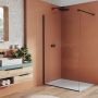 Душова стінка Ronal Easy STR4P1200607 WALK-IN 120 см.