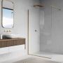 Душова стінка Ronal STR4P1001307 Easy WALK-IN 100 см.