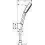 Ручной душ Hansgrohe Pulsify 24302670