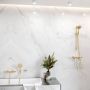 Ручний душ Hansgrohe Raindance Select S 120 3jet, золото (26530990)
