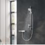 Лейка для ручного душа Grohe Rainshower Smartactive 26553000