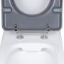 Унитаз напольный Qtap Freedom инклюзивный Rimless безободковый с сиденьем Soft-Close WHITE QT22226098W