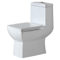 Jaquar Lyric LYS-WHT-38851P180UFSM Унитаз компакт